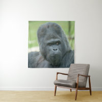 Silverback Dishi
