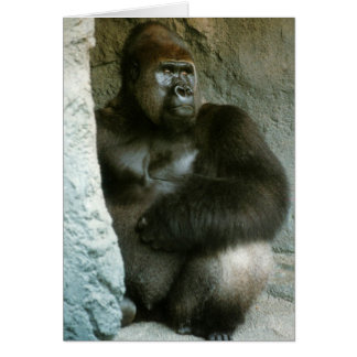 Silverback Gorilla Card