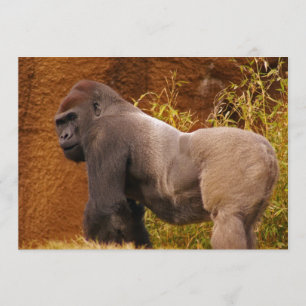 Silverback-Gorilla-Foto-Einladung Einladung
