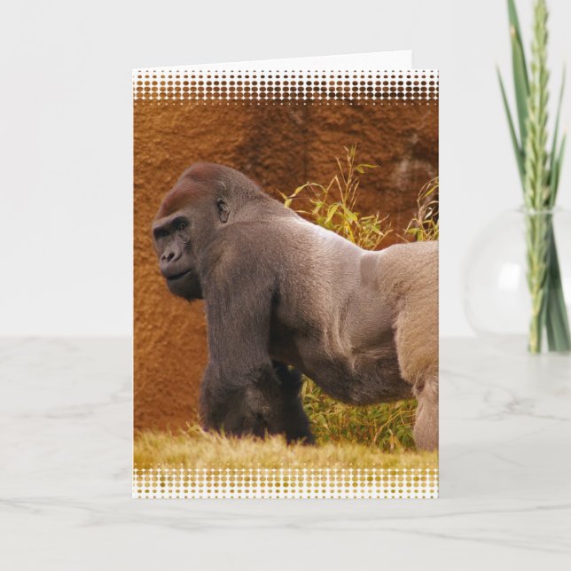 Silverback Gorilla Foto Grußkarte Karte (Vorderseite)