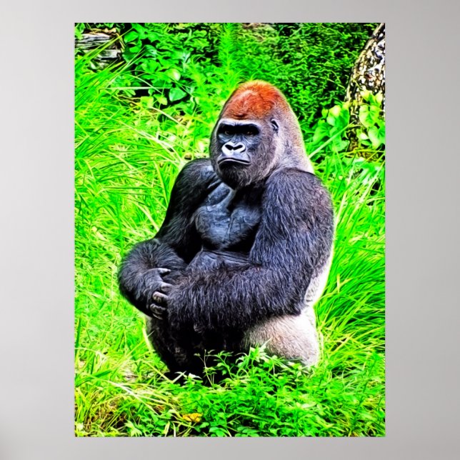 Silverback Gorilla Foto Painting Poster (Vorne)
