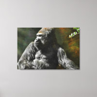 SILVERBACK GORILLA LEADER