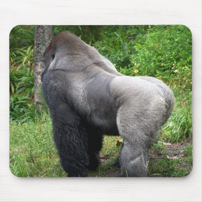 Silverback-Gorilla Mousepad (Vorne)