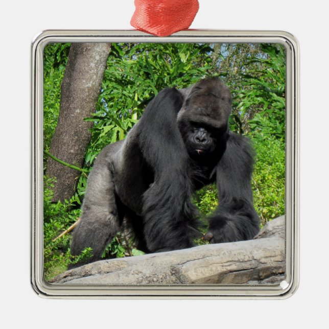 Silverback Gorilla Ornament Aus Metall (Vorne)