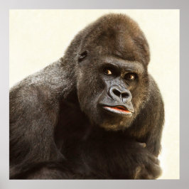 Silverback Gorilla-Portrait Poster