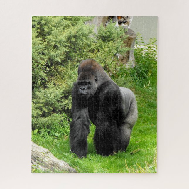 Silverback Gorilla Puzzle (Vertikal)
