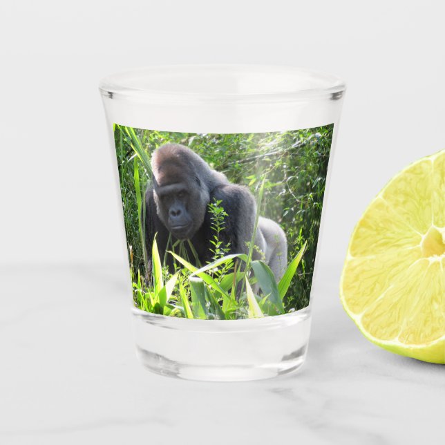 Silverback Gorilla Shot glass Schnapsglas (Vorderseite)