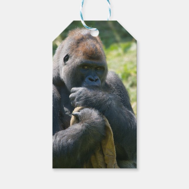 Silverback Gorilla und sein Deckblatt Geschenkanhänger (Vorderseite)