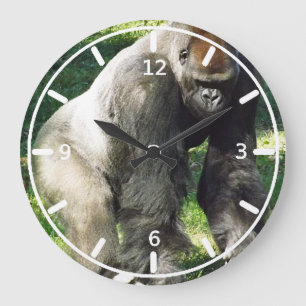 Silverback Male Lowland Gorilla Stehend Große Wanduhr