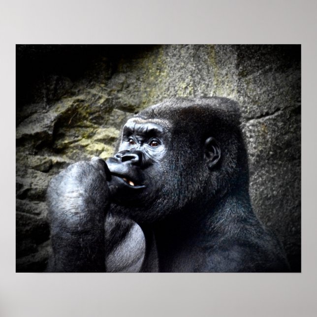 Silverback Mountain Gorilla Denken Poster (Vorne)