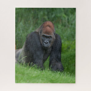 Silverbacks Serenrealm Puzzle