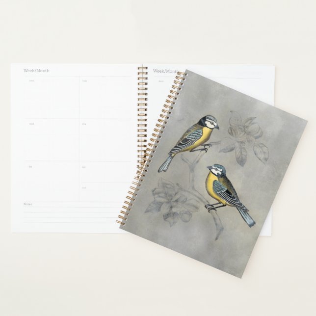 Silvered Aviary | Vogel Couple Planer (Anzeige)