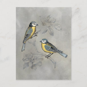 Silvered Aviary   Vogel Couple Postkarte