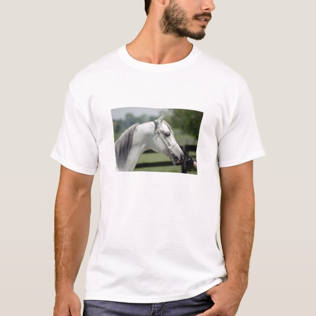 Silverstone Shamal T-Shirt (Vorderseite)