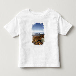 Silversword am Rand des Haleakala-Kraters aus der Kleinkind T-shirt