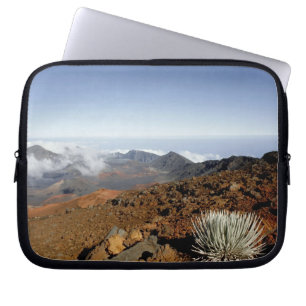 Silversword am Rand des Haleakala-Kraters aus der Laptopschutzhülle