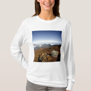 Silversword am Rand des Haleakala-Kraters aus der T-Shirt