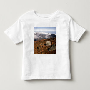 Silversword am Rand des Haleakala-Kraters von nahe Kleinkind T-shirt