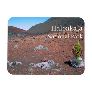 Silversword, Sanddünen, Haleakalā Nationalpark Magnet