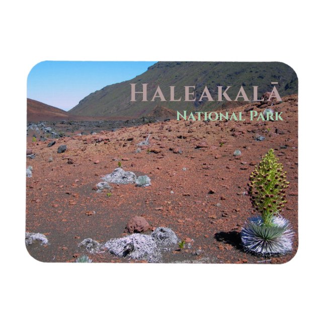 Silversword, Sanddünen, Haleakalā Nationalpark Magnet (Horizontal)