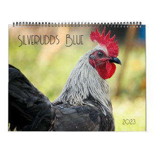 Silverudds Kalender