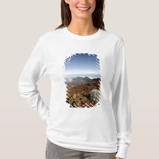 Silverwort auf Haleakala Krater Rim aus der Nähe T-Shirt (Vorderseite)