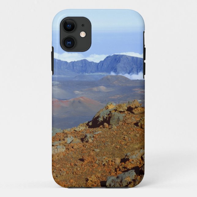 SilverWort auf Haleakala Krater Rim von nahe 2 Case-Mate iPhone Hülle (Rückseite)
