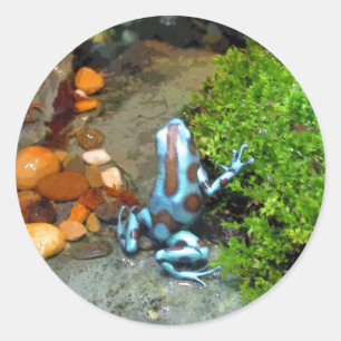 Silvery Blue Dart Frog CB Runder Aufkleber