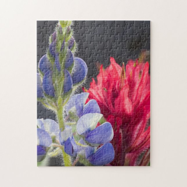 Silvery Lupine, Lavendel Paintbrush Puzzle (Vertikal)
