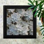 Silvery Succules Schöne Holzpfanne Erinnerungskiste<br><div class="desc">Die Geschenkboxen ist mit silberblauen und grünen Echeveria-Sukkulenten mit rosa und dunklen Schatten geschmückt. Es ist raffiniert und schön. Dieses Bild ist eine originelle botanische Fotografie von JLW_FOTOGRAFIE</div>