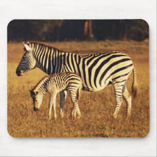 Simbabwe, Hwange-Nationalpark, Linkwasha Mousepad