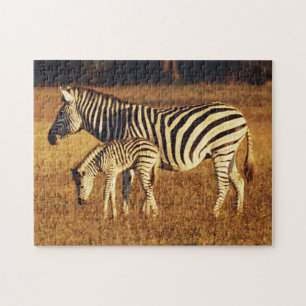 Simbabwe, Hwange-Nationalpark, Linkwasha Puzzle