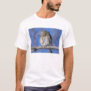 Simbabwe. Nahaufnahme eines Perlkauzes T-Shirt