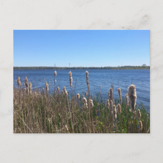 Simcoe-See Postkarte