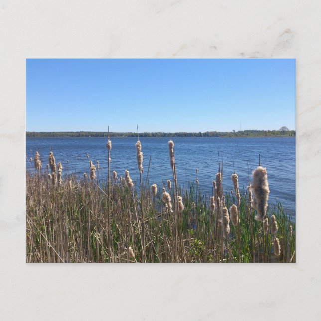 Simcoe-See Postkarte (Vorderseite)