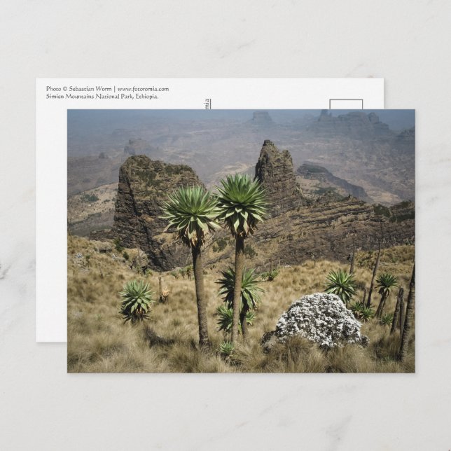 Simien Berge Äthiopien Postkarte (Vorne/Hinten)