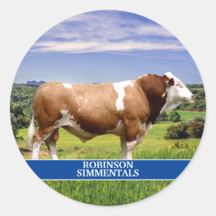 Simmental Bull in Weide Runder Aufkleber