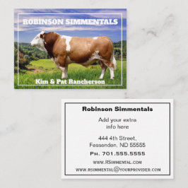 Simmental Bull in Weide    Visitenkarte
