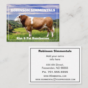 Simmental Bull in Weide    Visitenkarte