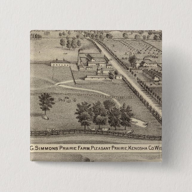 Simmon's Prairie Farm, Kenosha Water Cure Button (Vorderseite)