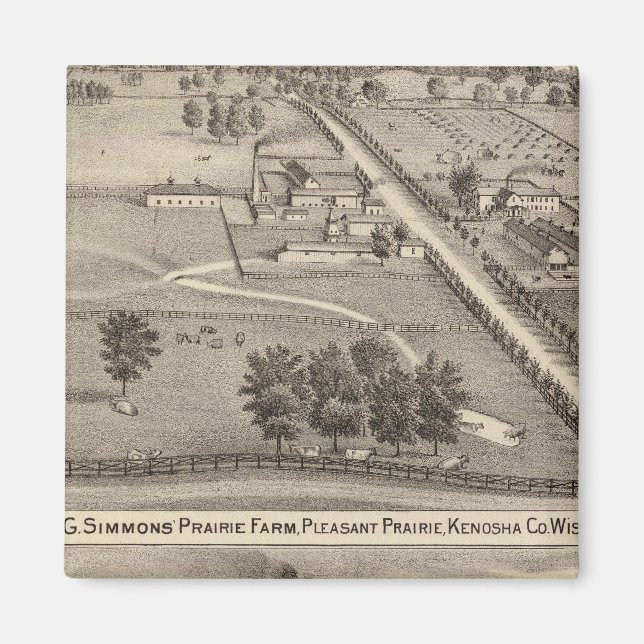 Simmon's Prairie Farm, Kenosha Water Cure Magnet (Vorne)