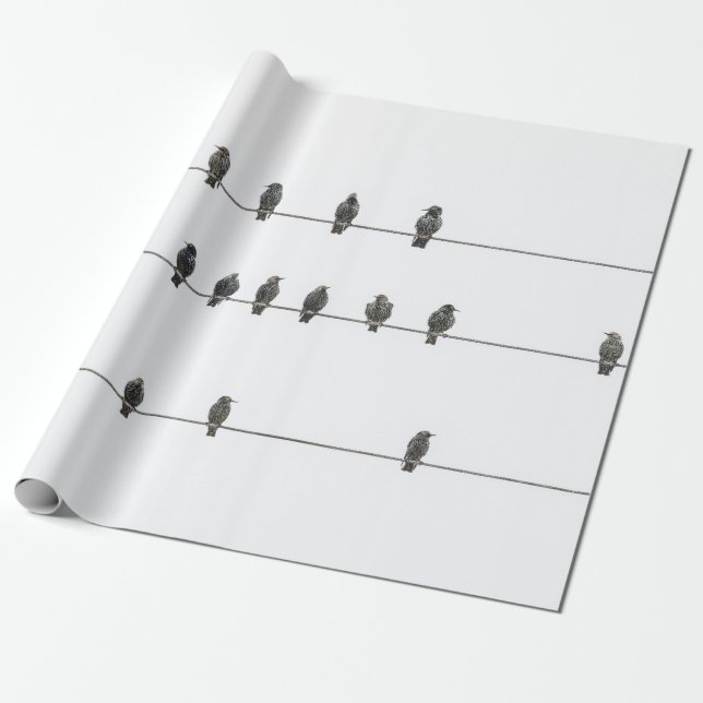 Simple Birds on the Wires Hand-Drawn Illustration Geschenkpapier (Ungerollt)