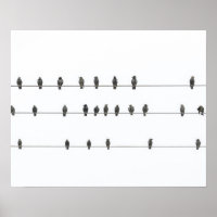 Simple Birds on the Wires Hand-Drawn Illustration