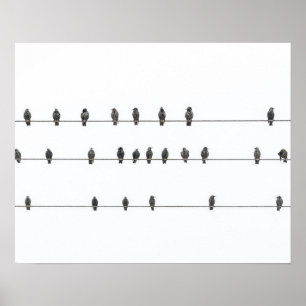 Simple Birds on the Wires Hand-Drawn Illustration Poster