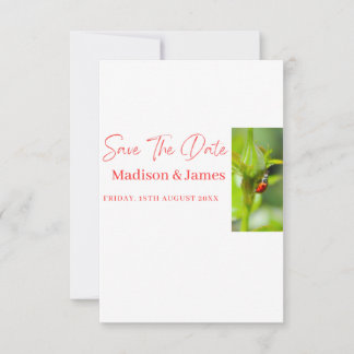 SImple Budget Save the Date Skripteinladungen