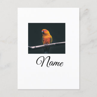 Simple colorful animal add name photo custom throw postkarte