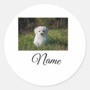 Simple colorful animal add name photo custom throw runder aufkleber