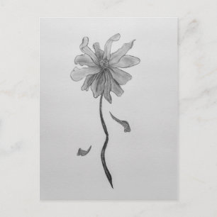 Simple Daisy Postkarte