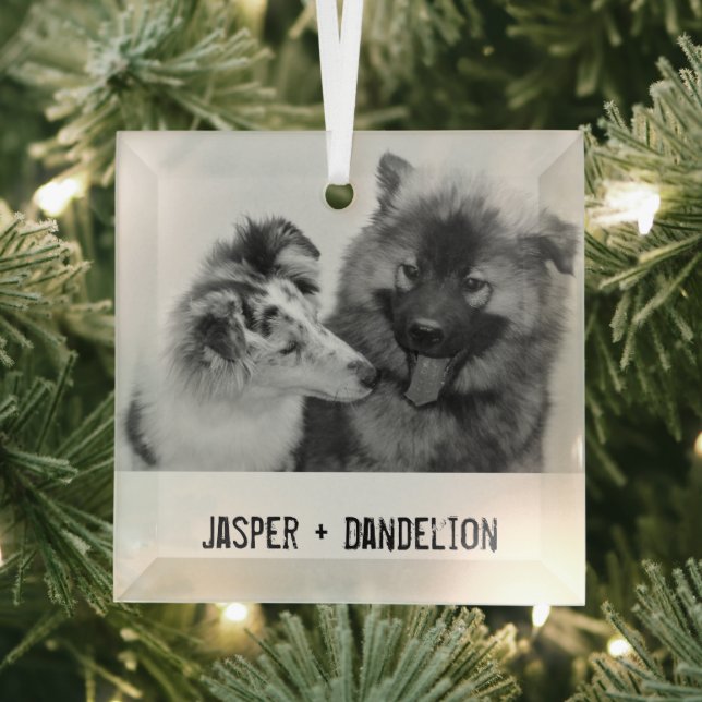 Simple, Modern Custom Pet or People Ornament Aus Glas (Insitu)