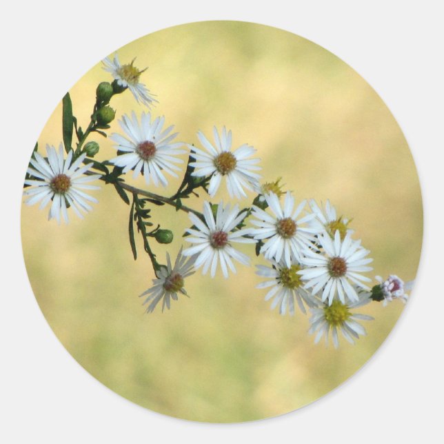 SimpleDelight Stickers (Vorderseite)